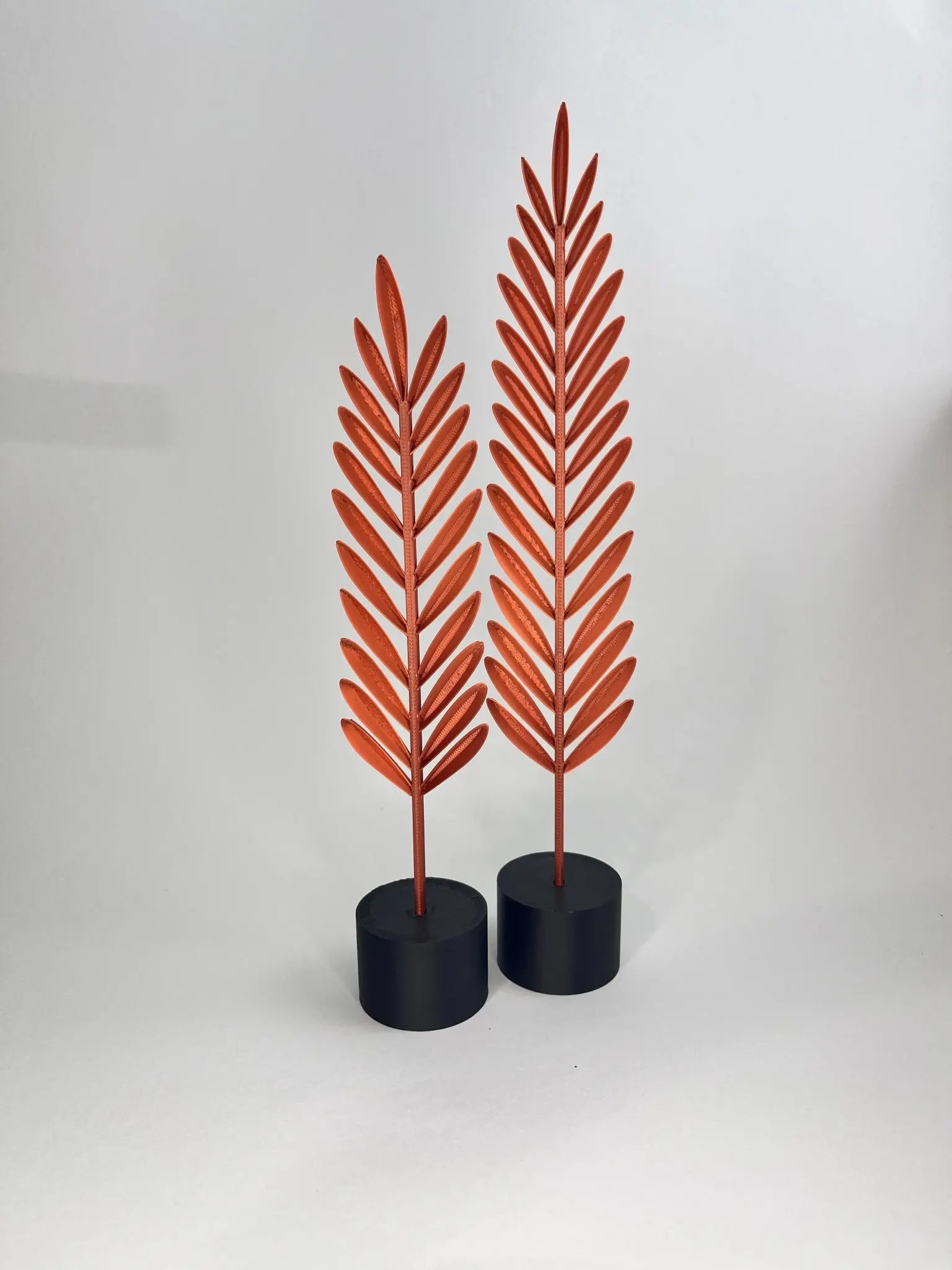 Moderne Feder Dekoration – Fomio